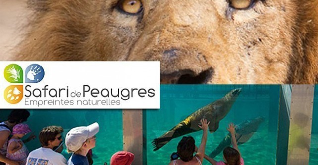 Safari de Peaugres