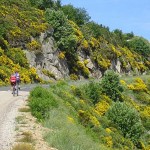 L'Ardèchoise, la fameuse course cycliste