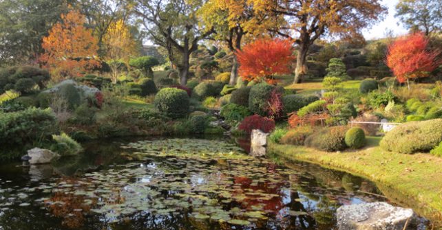 Le jardin Zen d’Erik BORJA