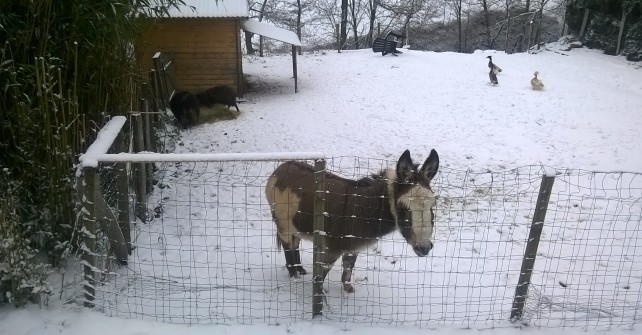 C’est l’hiver aux gîtes