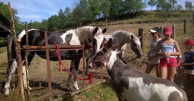 Balade avec Païna et nos vacanciers, en campagne, à La Roche des Vents…