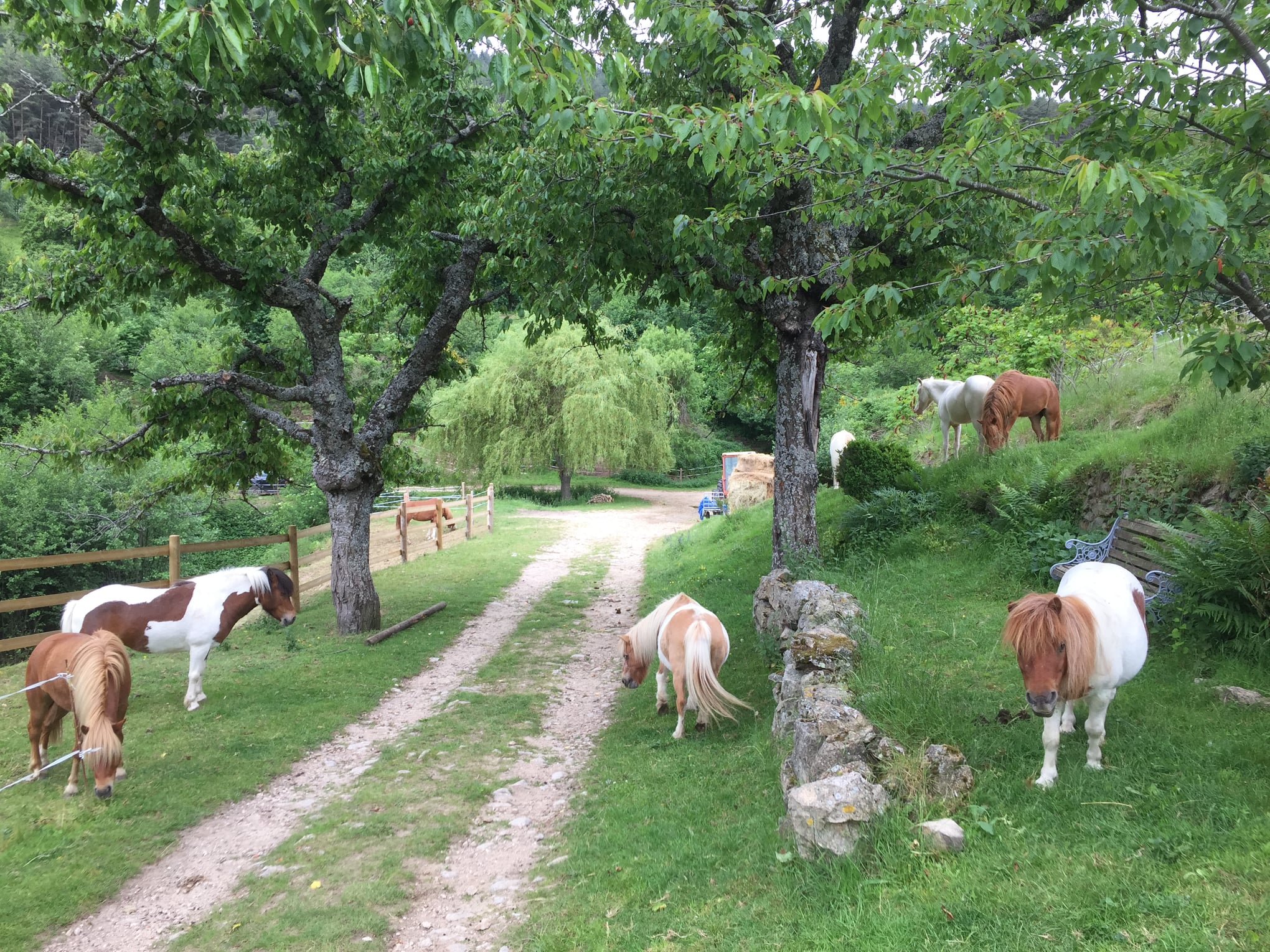 La Maison des Poneys - Satillieu - Les gites de GobertiersLes gites de ...